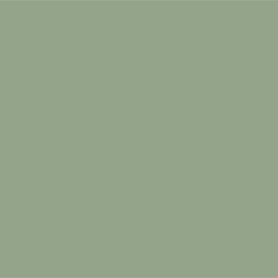 Renaissance Furniture Paint - Olive Branch - Retique It®